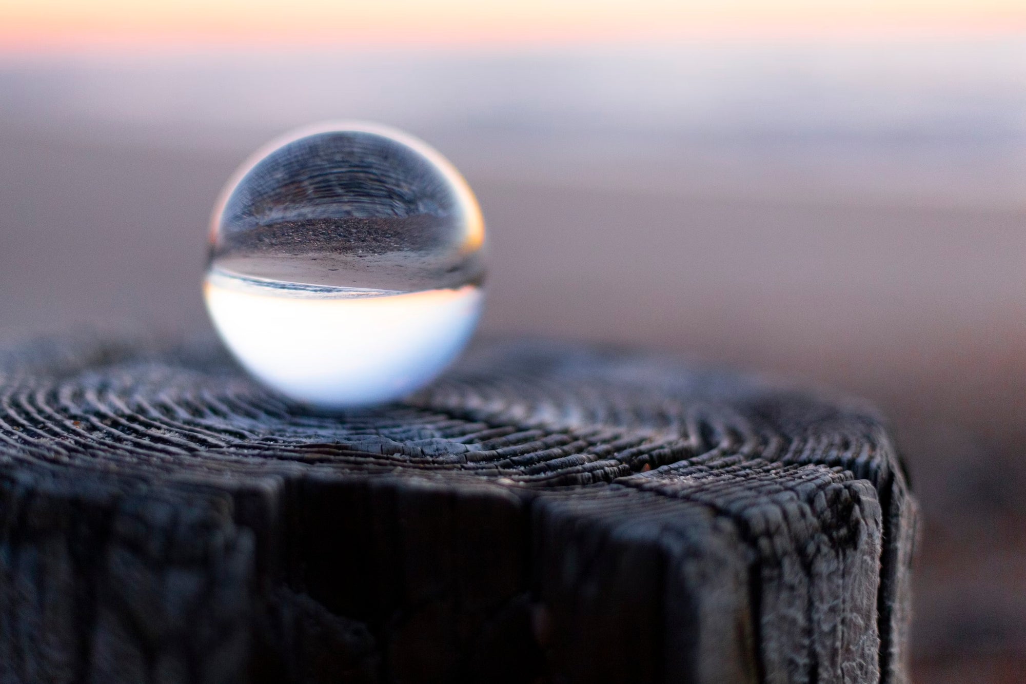 Exponentielles Denken und Zukunftsszenarien