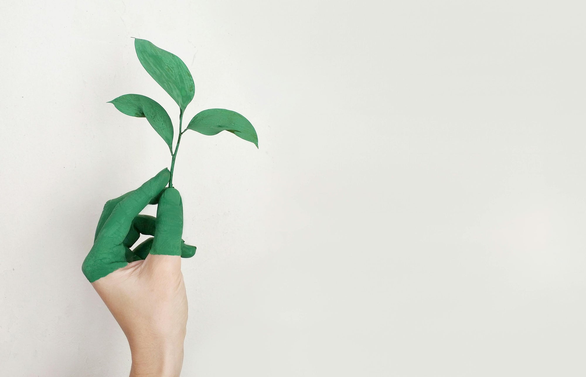 Next Generation Ventures: Gemeinsam die Zukunft gestalten