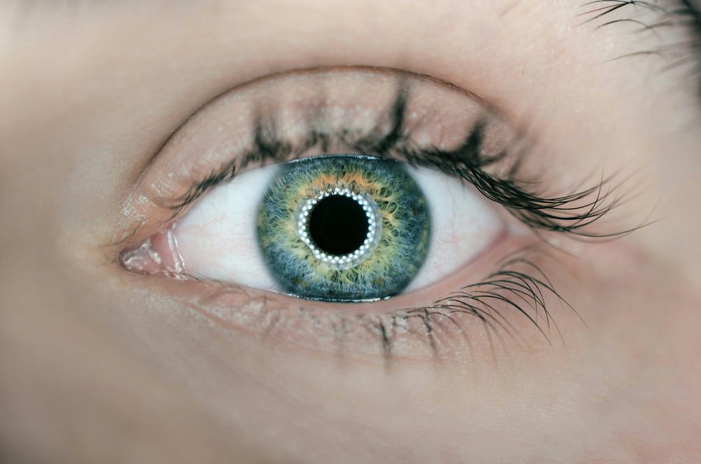 KI-basiertes Eye Tracking – Innovation, Effizienz und neue Perspektiven für Unternehmen