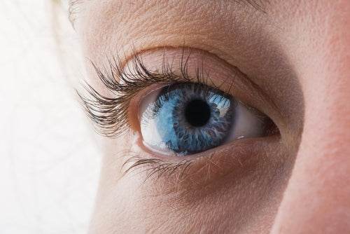KI-basiertes Eye Tracking – Innovation, Effizienz und neue Perspektiven für Unternehmen