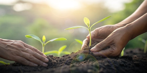 Next Generation Ventures: Gemeinsam die Zukunft gestalten