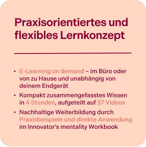 Innovator’s mentality Online-Kurs